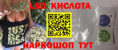 прущие грибы Краснокаменск