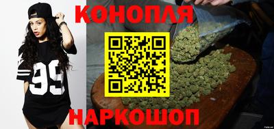 прущие грибы Краснокаменск