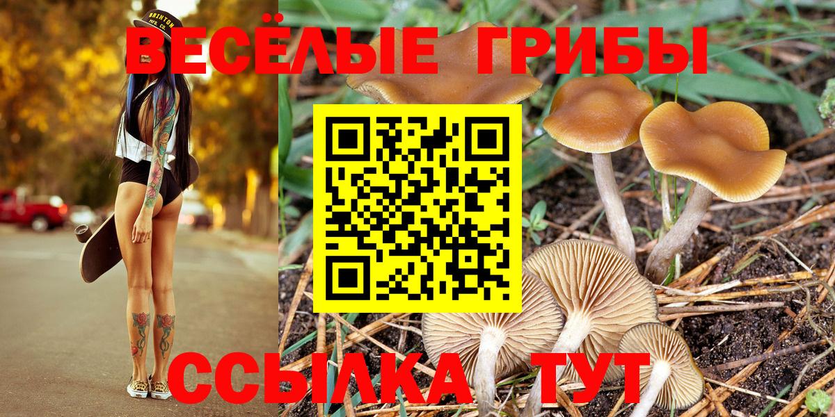 купить  цена  Вход с VPN  Гулькевичи  Галлюциногенные грибы Psilocybe  Галлюциногенные грибы GOLDEN TEACHER 